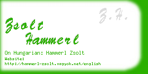 zsolt hammerl business card